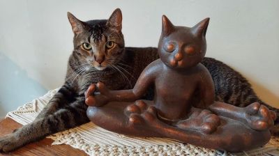 Tabby cat lounging beside a cat-shaped sculpture