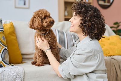 Smiling woman with curly hair petting a small brown poodle on a couch, illustrating the pet-friendly policy at Memphis apartments managed by MRG