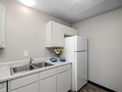 Kitchen area showcasing a stainless steel double sink, white cabinetry, a white refrigerator, and marble-look countertops at The Birches Townhomes in South Memphis.