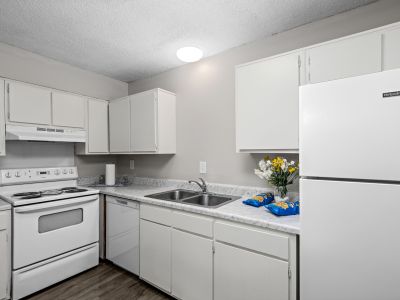 Compact kitchen setup displaying white appliances, a dishwasher, a double sink, and marble-patterned countertops at The Birches Townhomes in South Memphis.