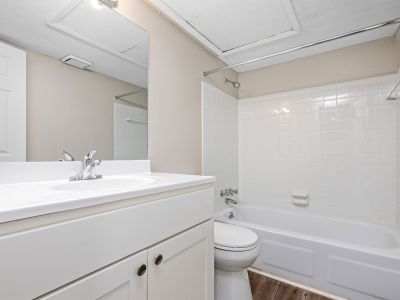 Clean bathroom interior featuring a white vanity cabinet, matching white toilet, and a standard tiled shower-tub combination at The Birches Townhomes in South Memphis.