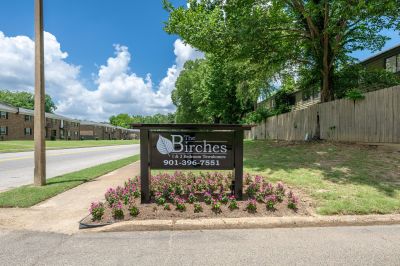Close-up view of the property monument sign for The Birches 1 & 2 Bedroom Townhomes, surrounded by a bed of purple flowers next to the road.