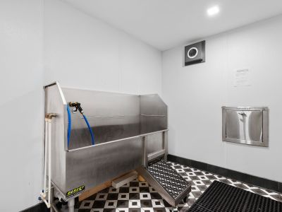 Convenient indoor pet spa wash station featuring a stainless steel dog washing tub with access steps at Madison@McLean Midtown apartments in Memphis.