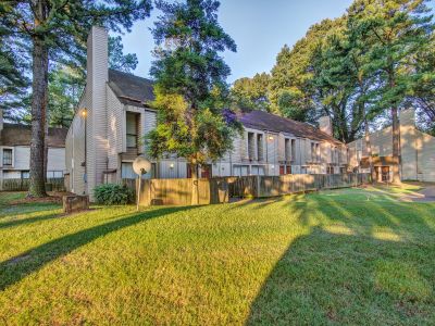 Sunny green lawn and mature pine trees in front of two-story residential buildings at Pinewood Manor apartments and townhomes in Memphis.