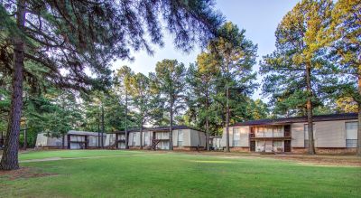 Shaded community lawns bordered by tall pine trees and multi-family buildings at Pinewood Manor apartments and townhomes in Memphis.