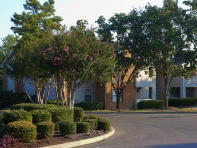Manicured landscaping with flowering crepe myrtle trees frames the two-story brick and siding residential buildings at Southcrest Lake Apartments in Southaven,