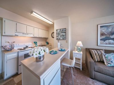 Compact kitchen setup open to a cozy living space with a breakfast bar at Edison Park apartments in downtown Memphis.