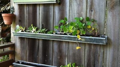 Apartment therapy garden image