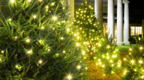 Christmas tree