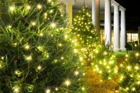 Christmas tree