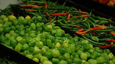 Winchester farmers market
