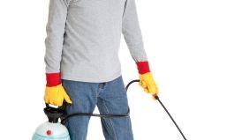 Pest control