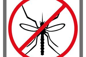 Anti mosquito