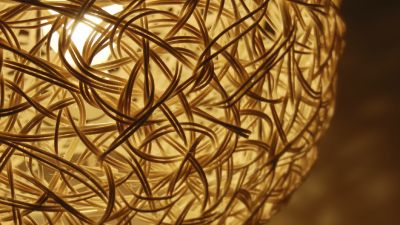 Lamp shade purchased 2016