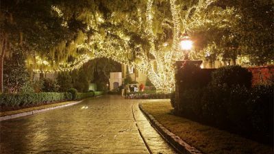 Exterior tree lights