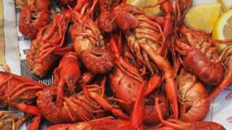 Overton square crawfish festival 2115 5820 e1583443004613
