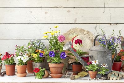 Container garden 2