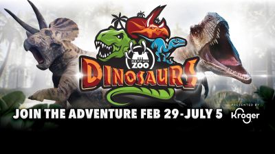 Dino hero background