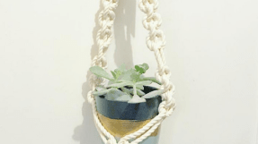Plant hanger