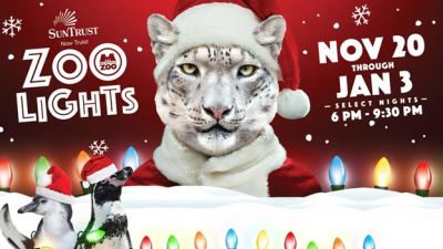 Zoo Lights 2020