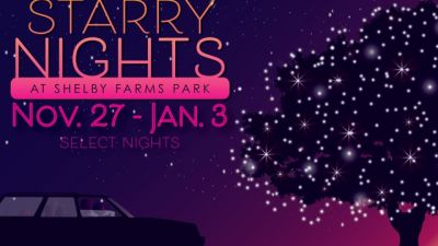 Starry Nights 2020