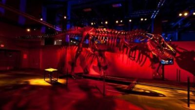 Dinos in motion