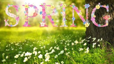 Spring 1210194 1280