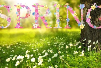 Spring 1210194 1280