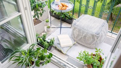 1388x926 plants small spaces