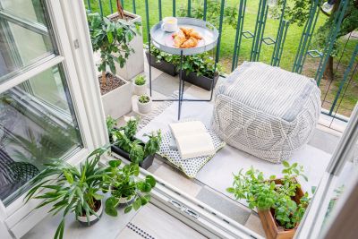 1388x926 plants small spaces
