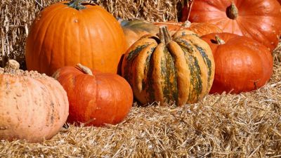 Pumpkins