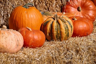Pumpkins