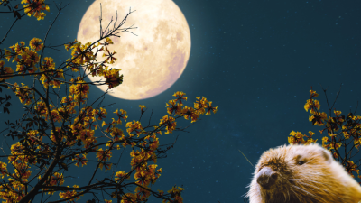 Full moon 1