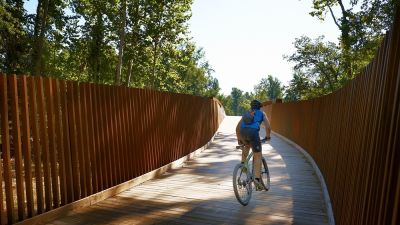 Shelby farms