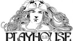 Playhouse logo category