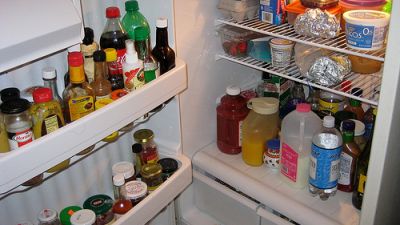 Tips for cleaning the refrigerator audubon downs
