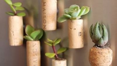 Corkplant