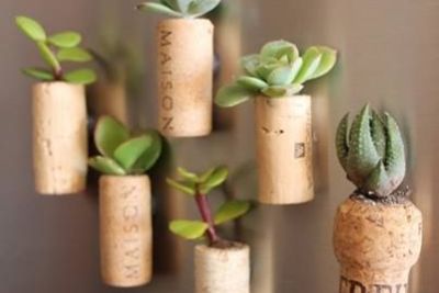 Corkplant