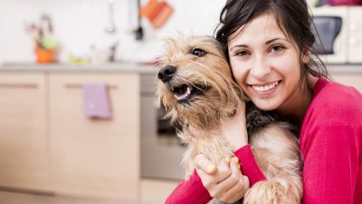 Dog in apartment purchased 2016