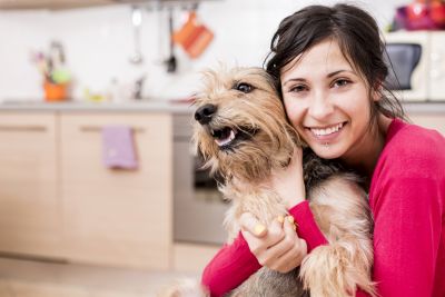 Dog in apartment purchased 2016