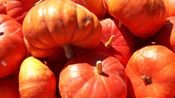 Pumpkins