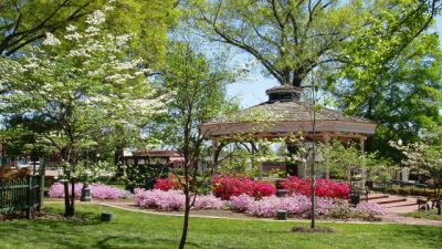 Central Park