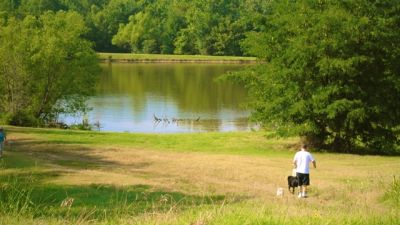 Shelby Farms Outback