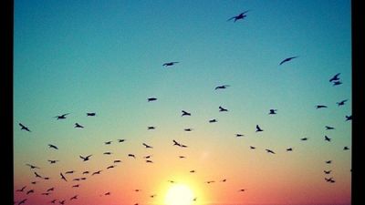 Instagram 4