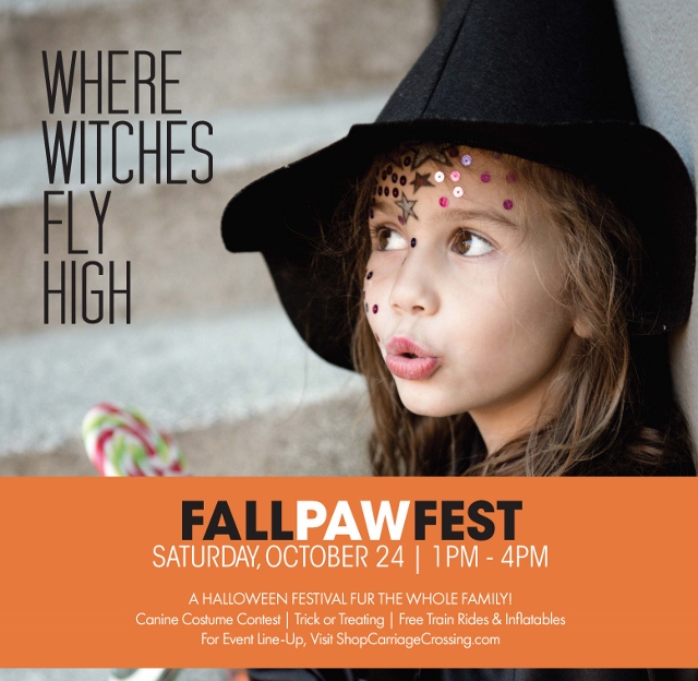 FallPaw
