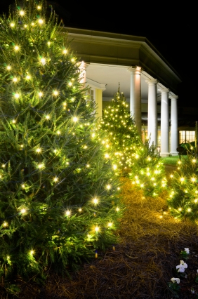 christmas tree