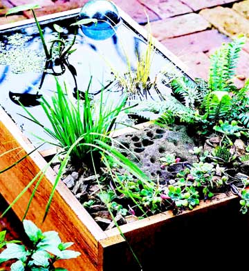 deckpond