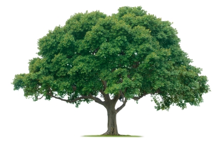 Going green is easy!