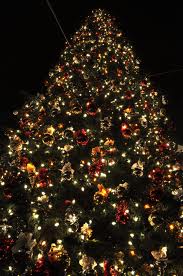 Get in the holiday spirit.