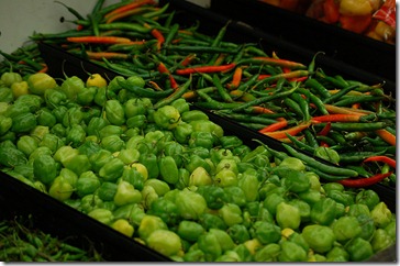 winchester-farmers-market winchester-farmers-market